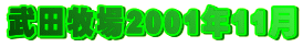 ���c�q��2001�N11��