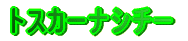 �g�X�J�[�i�V�`�[