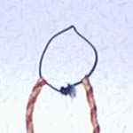 ��������ĕ҂�ł�